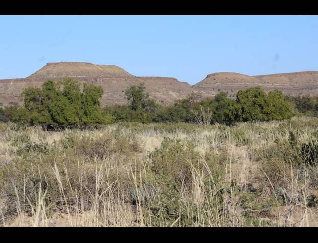 5,614HA FARM FOR SALE IN MERWEVILLE